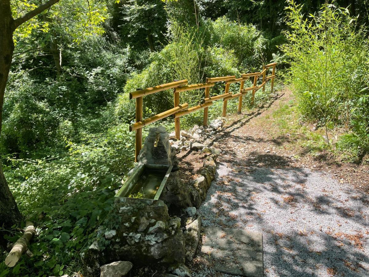 Appartamenti Lago Di Como Valbrona Eksteriør bilde